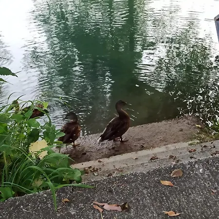 Pliva Riverside Apartmán Jezero (Konjic)